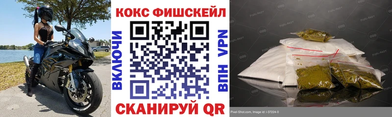 Купить закладки  Перевоз  COCAIN FishScale 