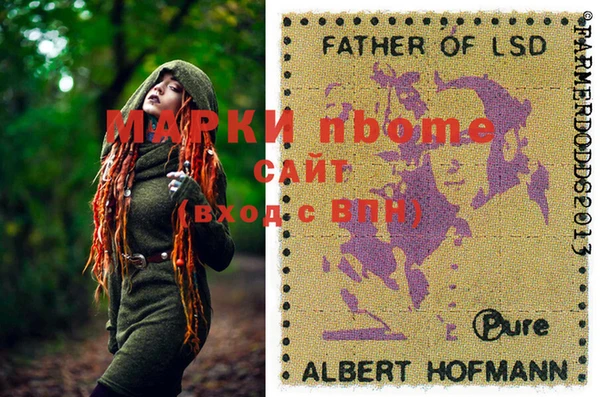 молекула духа Козельск
