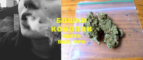 твердый Козловка