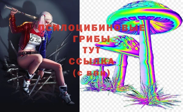 твердый Козловка