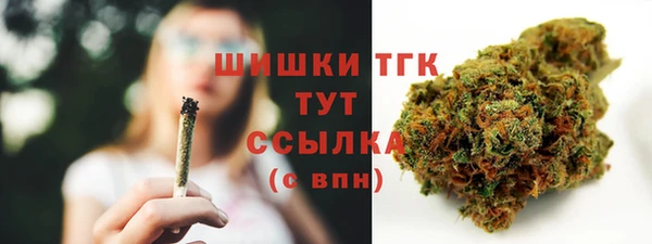 прущие крисы Кодинск