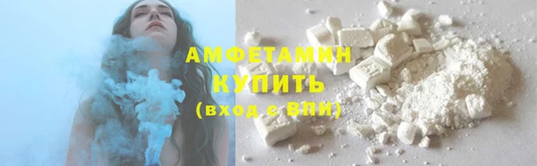 молекула духа Козельск