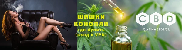 молекула духа Козельск