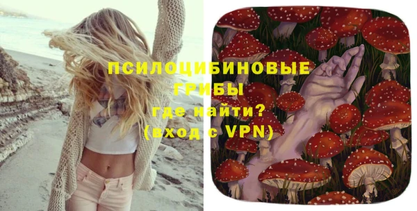 молекула духа Козельск