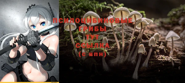 твердый Козловка