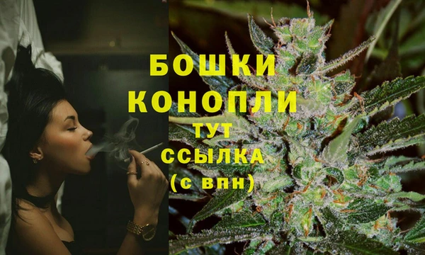 твердый Козловка