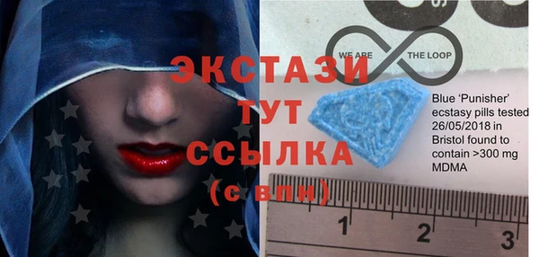 молекула духа Козельск