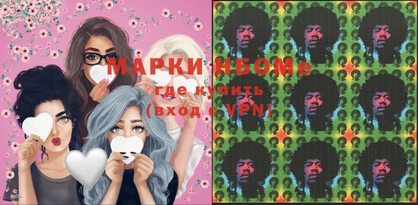 молекула духа Козельск