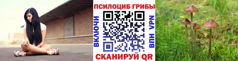 Купить  Перевоз  Галлюциногенные грибы мухоморы 